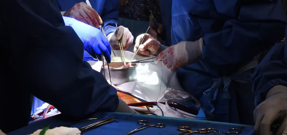 Un momento del primer trasplante exitoso de un corazón porcino a un adulto humano con cardiopatía terminal. University of Maryland Medical Center