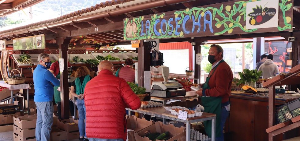 Mercadillo de Teguese