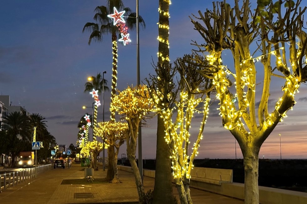 Foto de los jardines de la Avenida Marítima