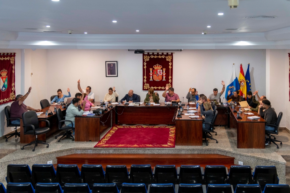 Pleno ordinario del 29 de enero