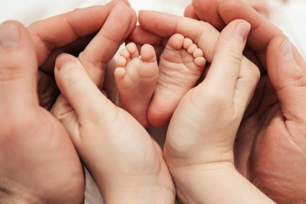 Maliutina Anna/Shutterstock