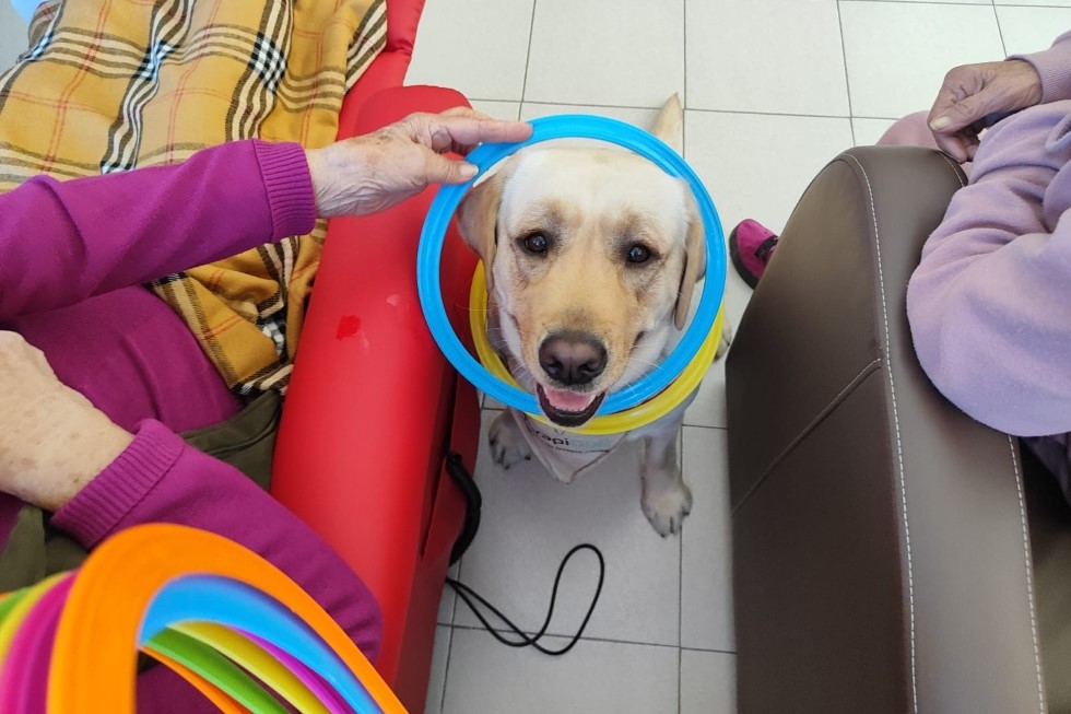 TerapiDog