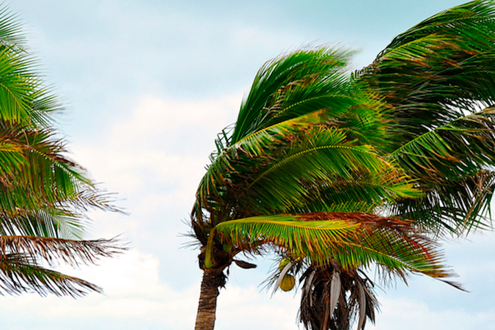 Vientos en la zona sur | Maspalomas Ahora