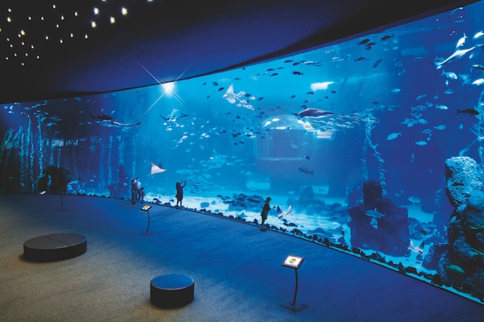 Acuario Poema del Mar. Imagen de archivo | Maspalomas Ahora
