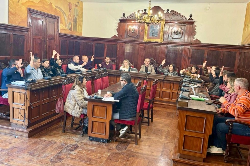 Pleno de Los Llanos de Aridane