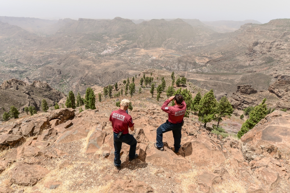 Dos agentes forestales del Cabildo en la cumbre | Maspalomas Ahora