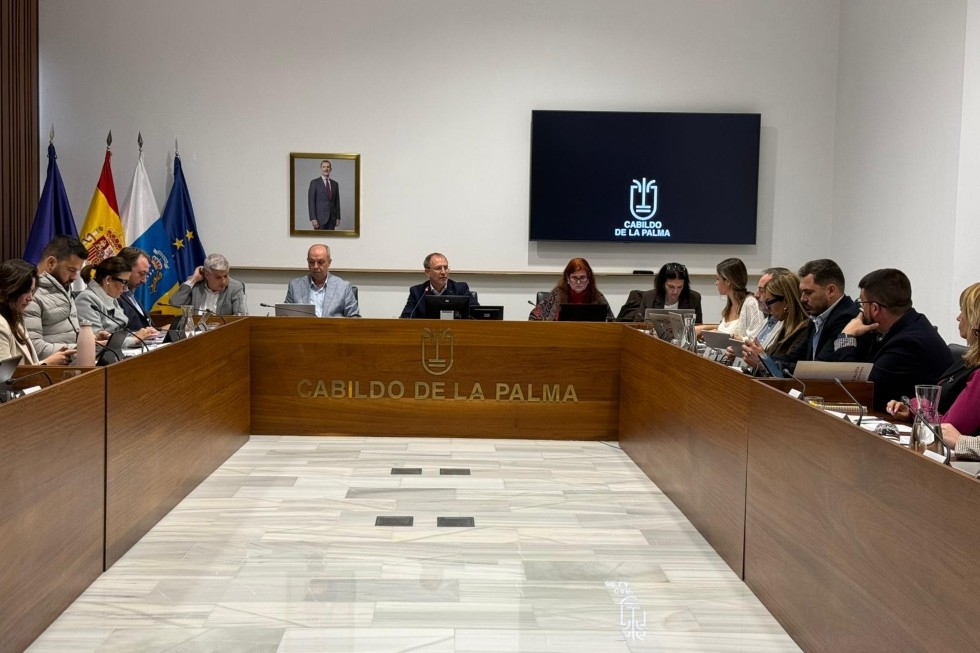 Pleno del Cabildo de la Palma