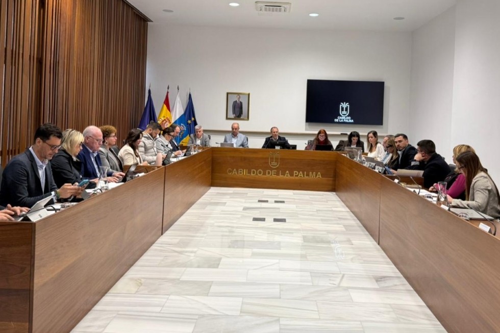 Reconocimiento a Dan Miguel Arc&aacute;ngel. Cabildo de la Palma