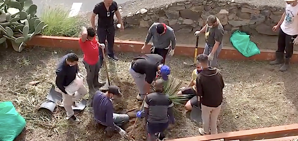 Un grupo de migrantes han iniciado una serie de actuaciones de acondicionamiento, desbroce y plantación de árboles en el barrio de El Lasso.