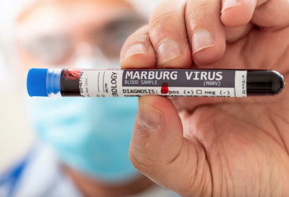 Shutterstock / Mauro Rodrigues