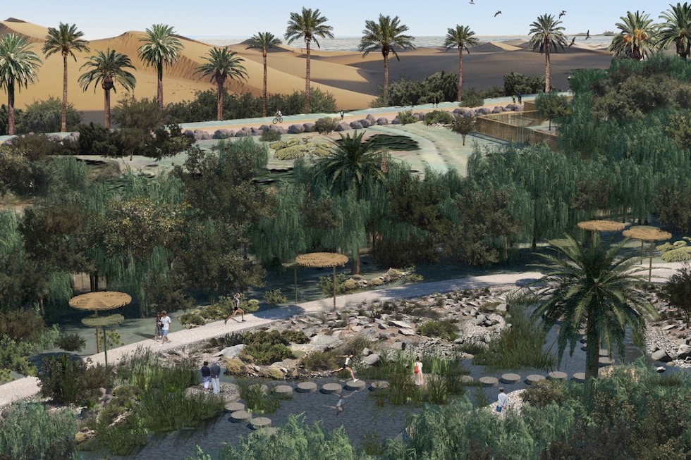 Rehabilitación del Palmeral Oasis. Imagen de archivo