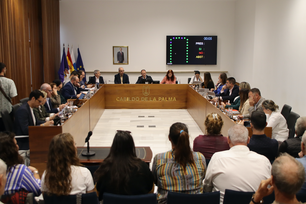 Sesión plenaria