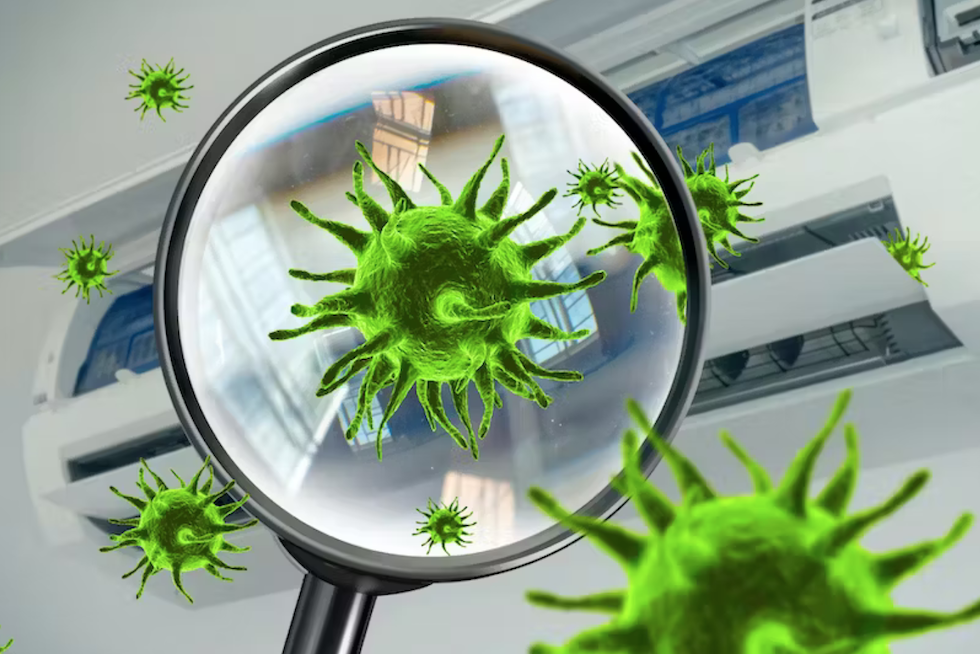 Bombermoon / Shutterstock