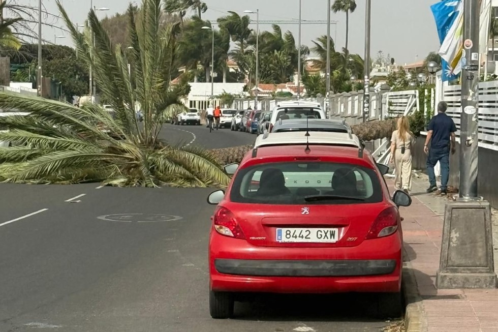 Incidente en San Bartolom&eacute; de Tirajana causado por los fuertes vientos | Maspalomas Ahora