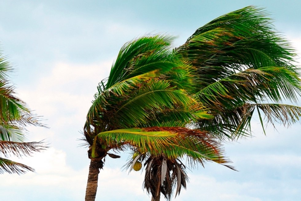 Canarias entra en prealerta por viento con rachas de hasta 80 kilómetros por hora