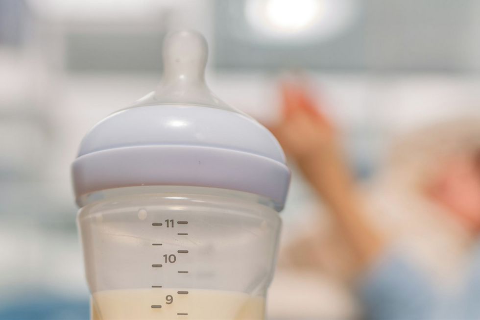 Alerta global por la presencia de la toxina cereulida en leche de fórmula infantil