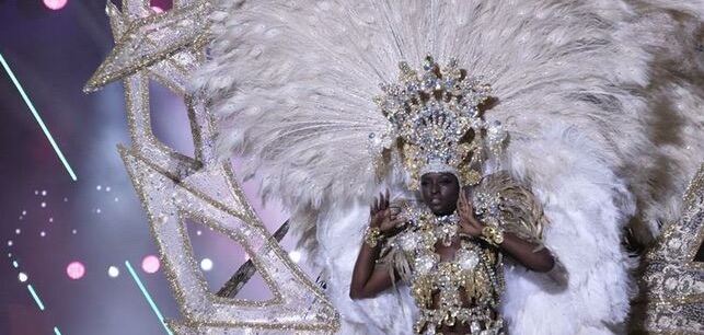 Erika Echuaca Sebe, con la fantasía 'Volar sin alas', Reina del carnaval de Las Palmas de Gran Canaria. EFE/Angel Medina G.