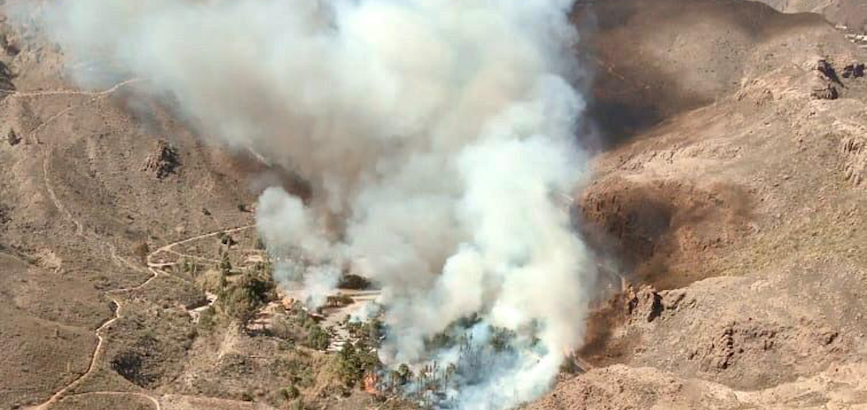 Incendio en el Palmeral de Fataga | JULI&Aacute;N REYES