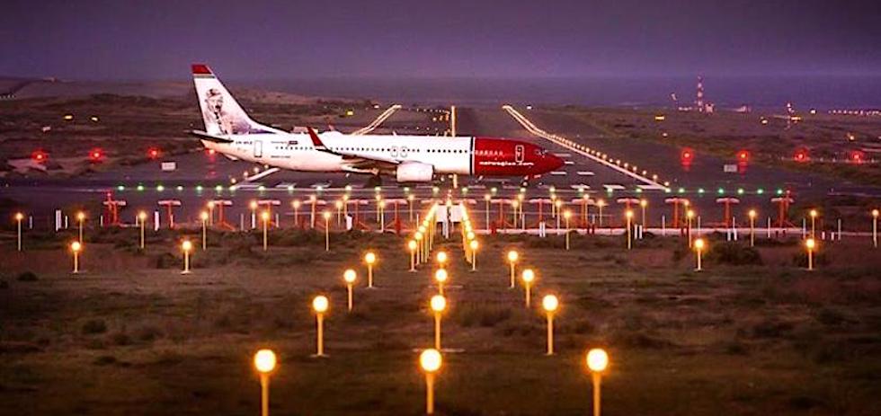 Imagen: Canary ferri