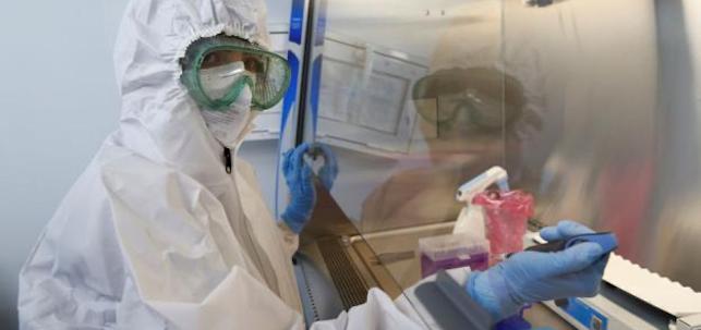 Estudio de las nuevas cepas. EFE