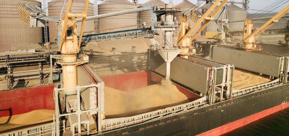 Carga de grano de trigo en un buque de carga seca en el puerto de Odesa. Shutterstock / Elena Larina