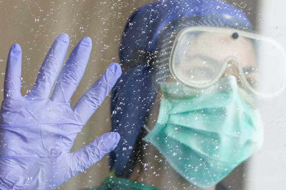 Shutterstock / Mario Rollon