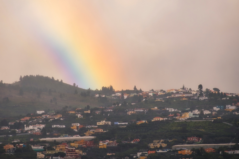 Las lluvias recientes alivian la situación del campo palmero