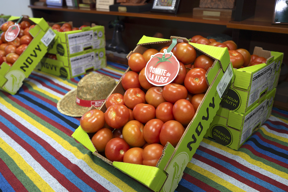 Tomate de La Aldea