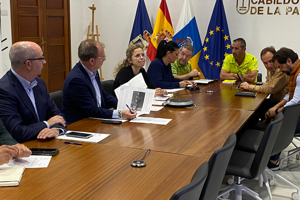 Comité asesor Peinpal