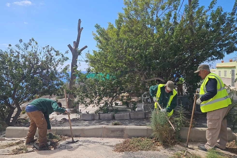 Personal de Foresta en una de las actuaciones