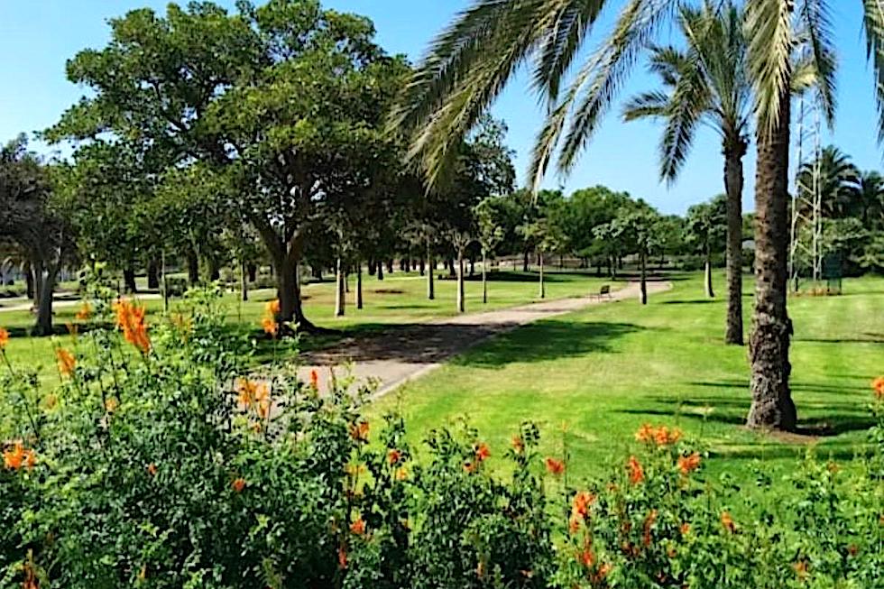 Parque del Sur. MASPALOMAS AHORA