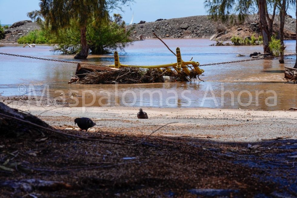 Paso de la borrasca Therese por las Islas Canarias | Maspalomas Ahora