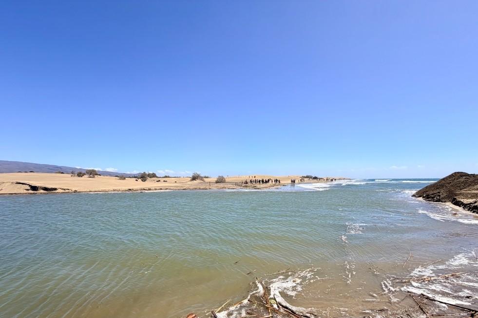 Charca de Maspalomas | Maspalomas Ahora
