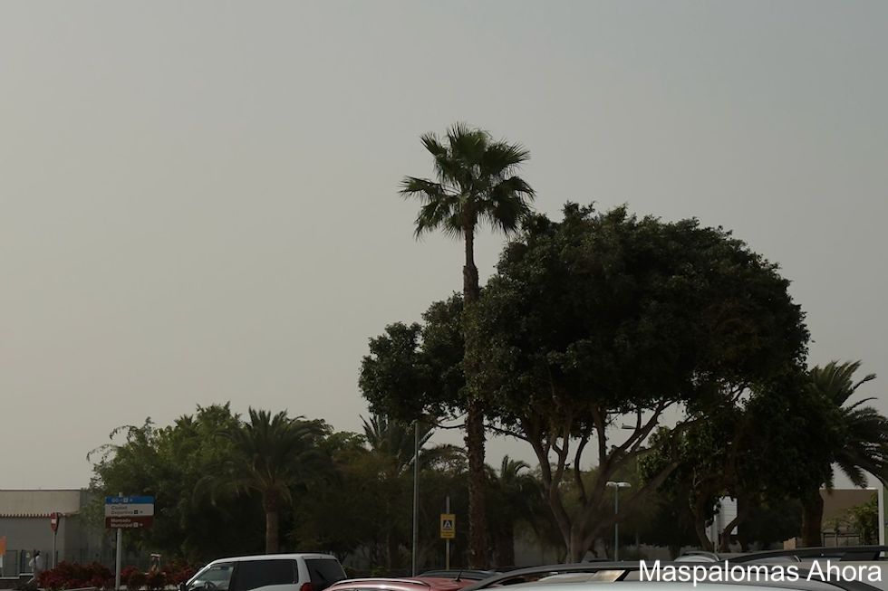 Imagen de archivo | Maspalomas Ahora