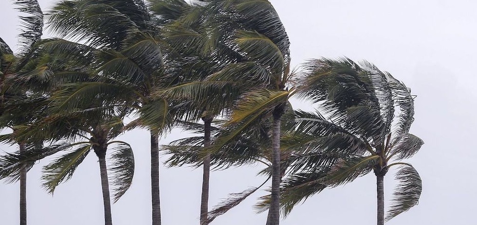 Vientos de hasta 90 km/h este sábado