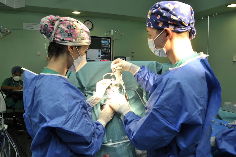 Implante para Parkinson