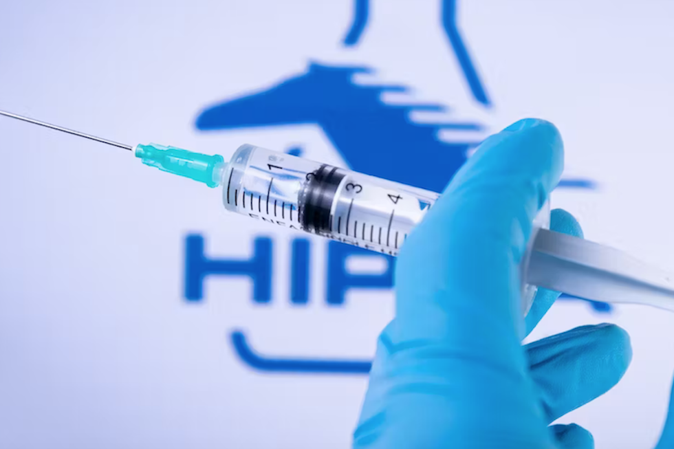 Davide bonaldo / Shutterstock