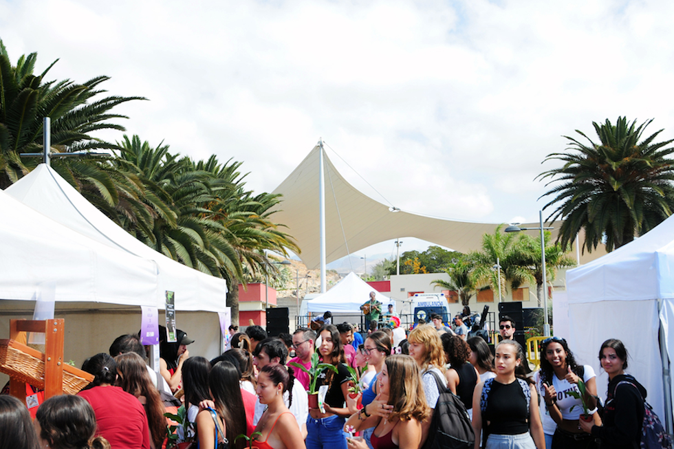 Segundo día de formación