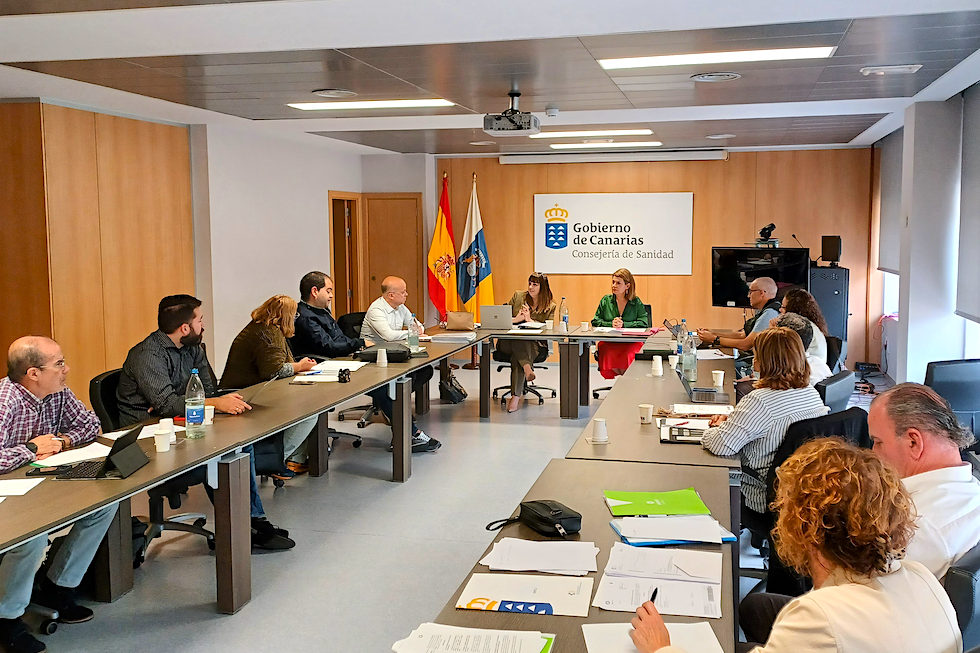 Mesa sectorial del Gobierno de Canarias.