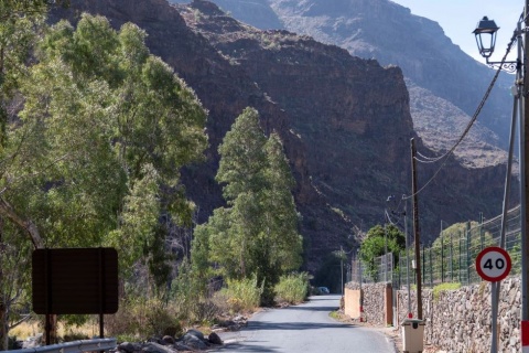 Luminarias de El Horno