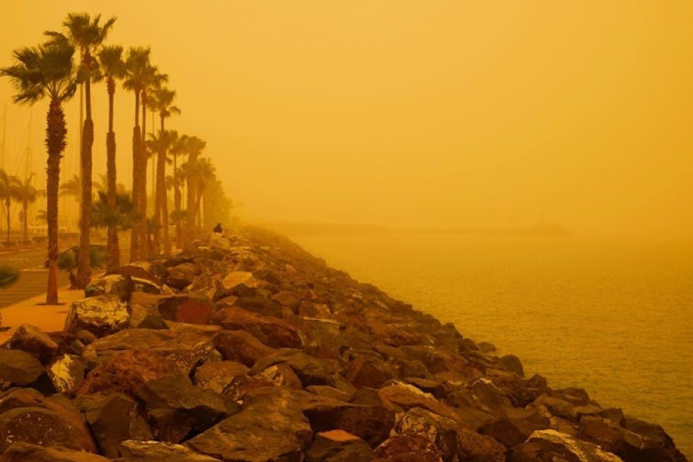 Daguimagery / Shutterstock