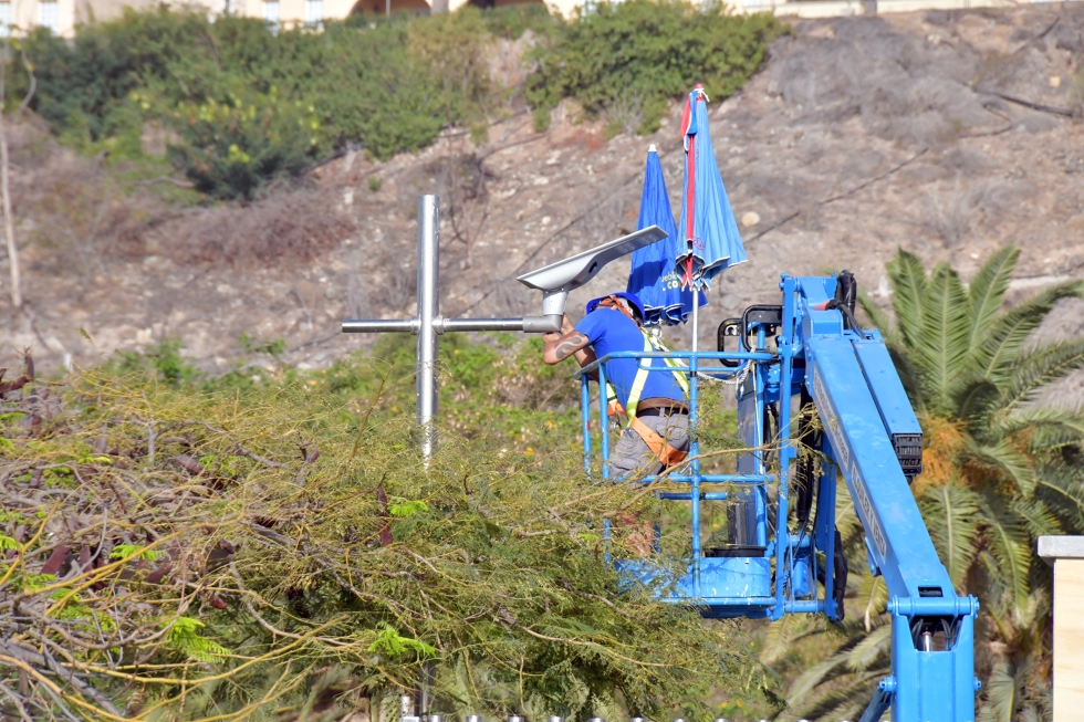 Comienzan los trabajos de renovación del alumbrado en el Parque Urbano del Sur