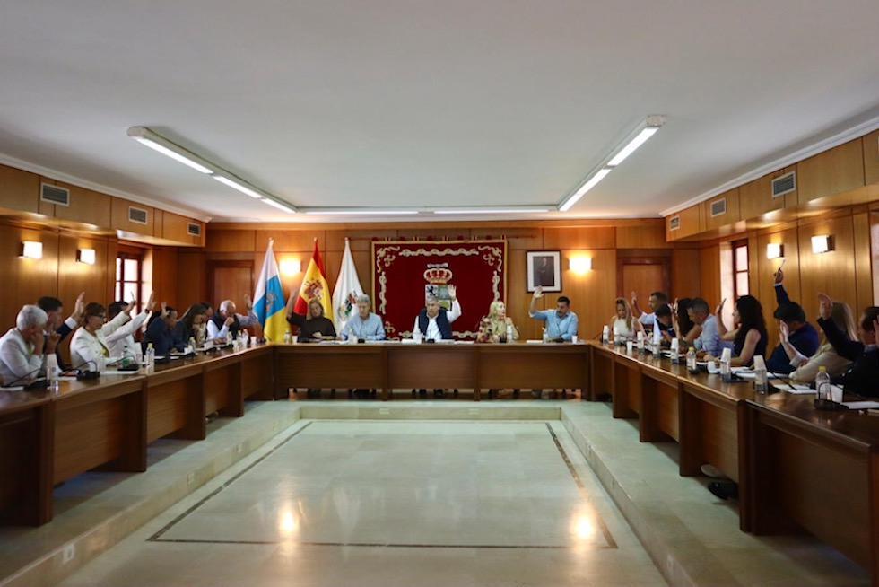 Sesi&oacute;n plenaria