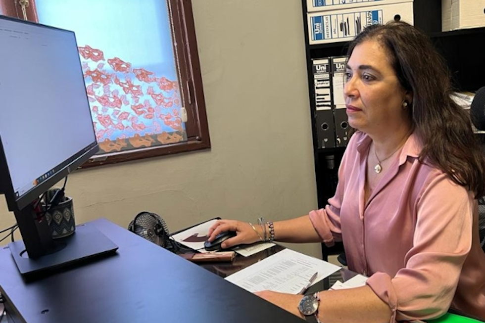 Lisi S&aacute;nchez, concejal de Servicios Sociales