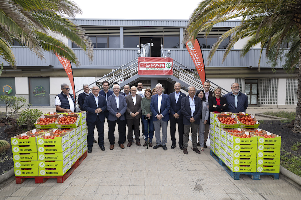 SPAR Gran Canaria prev&eacute; comercializar 500 toneladas de tomate
