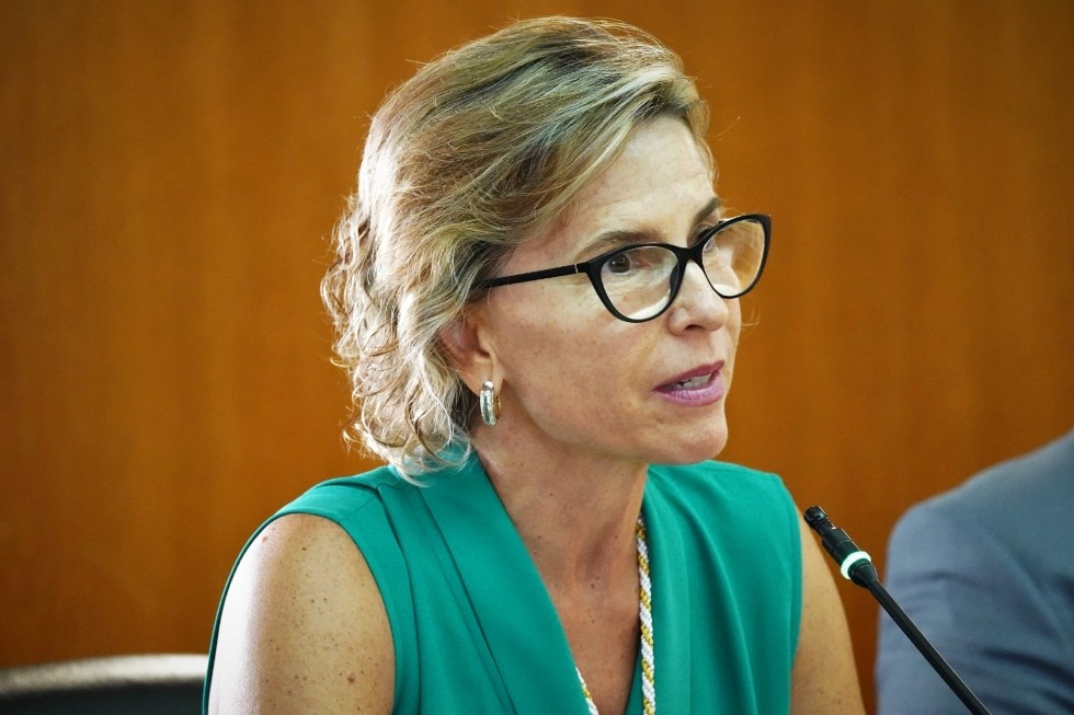 Concepci&oacute;n Narv&aacute;ez, portavoz del PSOE de San Bartolom&eacute; de Tirajana | Maspalomas Ahora