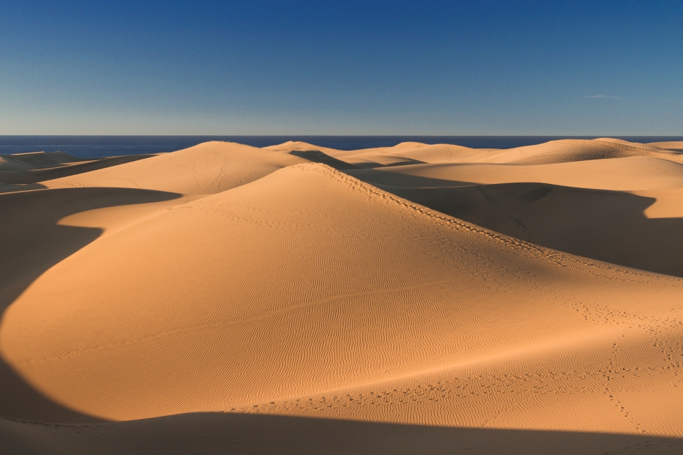 Dunas de Maspalomas | Maspalomas Ahora