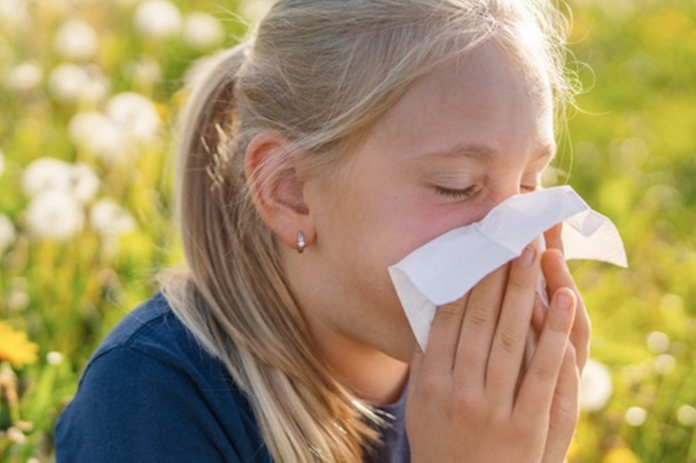 r.classen/Shutterstock