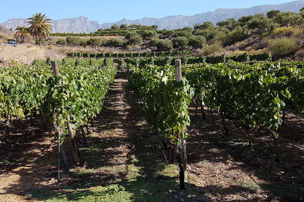 El Gobierno aprueba ayudas para familias, agricultores y empresas por la subida de precios