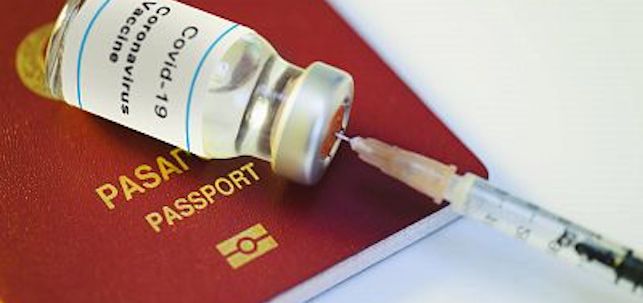 Pasaporte de vacunación. EFE